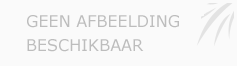 Afbeelding › Arne Ruckebusch